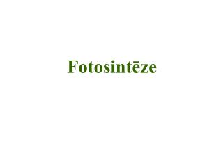 Fotosintēze