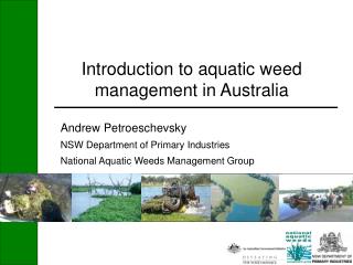 Introduction to aquatic weed management in Australia