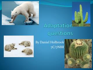 Adaptation questions