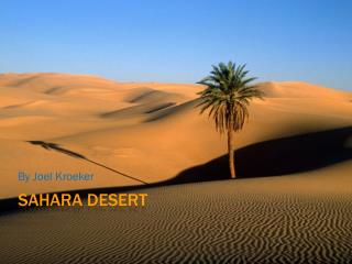 Sahara Desert