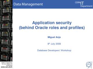 Application security (behind Oracle roles and profiles)