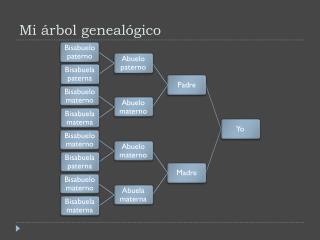 M i árbol genealógico