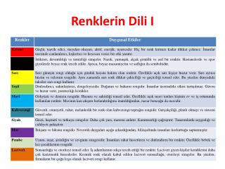 Renklerin Dili I