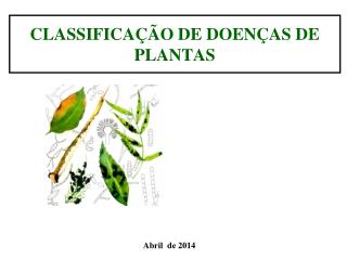 CLASSIFICAÇÃO DE DOENÇAS DE PLANTAS