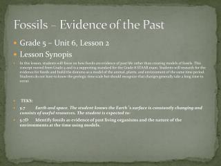 Fossils – Evidence of the Past