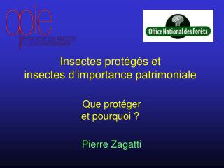Insectes protégés et insectes d’importance patrimoniale
