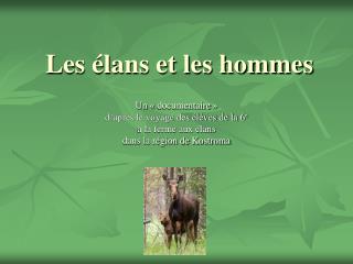 Les élans et les hommes