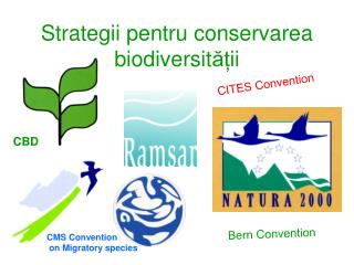 Strategii pentru conservarea biodiversit ăț ii