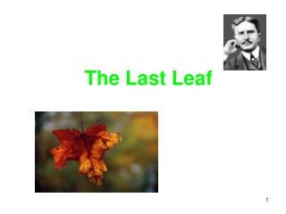 The Last Leaf