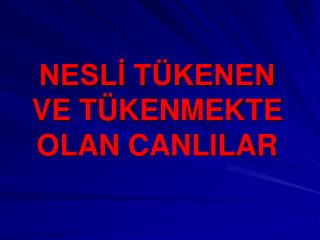 NESLİ TÜKENEN VE TÜKENMEKTE OLAN CANLILAR