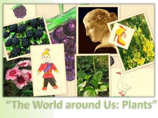 “The World around Us: Plants”