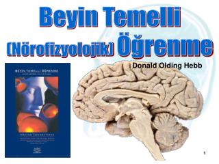 Beyin Temelli (Nörofizyolojik) Öğrenme