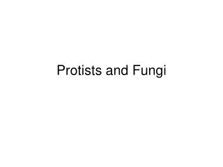 Protists and Fungi