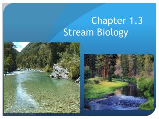 Chapter 1.3 Stream Biology