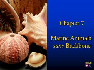Chapter 7 Marine Animals sans Backbone