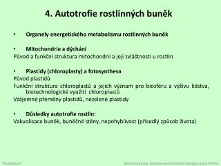 4. Autotrofie rostlinných buněk