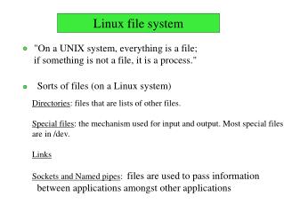 Linux file system