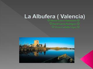 La Albufera ( Valencia)