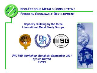 Capacity Building by the three International Metal Study Groups