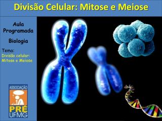 Aula Programada Biologia Tema: Divisão celular: Mitose e Meiose