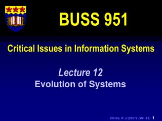 Critical Issues in Information Systems