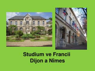 Studium ve Francii  Dijon a Nîmes