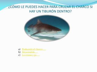 ¿CÓMO LE PUEDES HACER PARA CRUZAR EL CHARCO SI HAY UN TIBURÓN DENTRO?