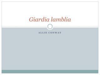 Giardia lamblia