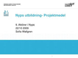 9. Aktörer i Nyps 22/10 2009 Sofia Wallgren