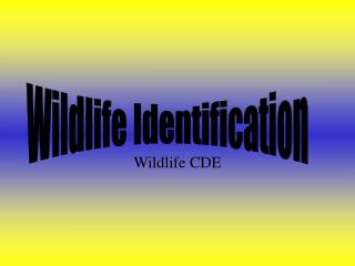 Wildlife CDE