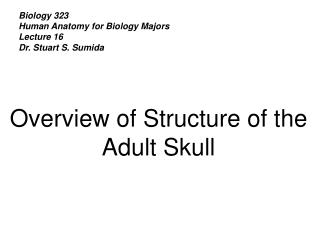 Biology 323 Human Anatomy for Biology Majors Lecture 16 Dr. Stuart S. Sumida