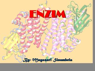 ENZIM By: Mayasari Sinambela