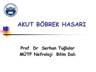 AKUT BÖBREK HASARI