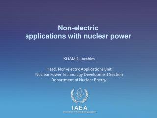 Non-electric applications with nuclear power