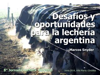 Desafíos y oportunidades para la lechería argentina