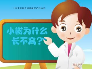 小学生的综合实践探究系列活动