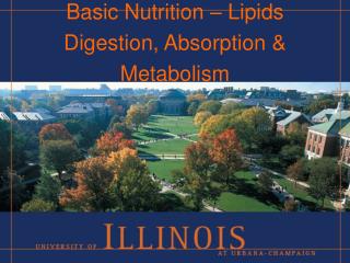 Basic Nutrition – Lipids Digestion, Absorption &amp; Metabolism