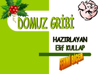 DOMUZ GRİBİ