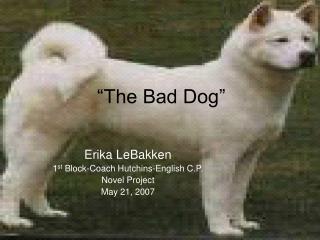 “The Bad Dog”