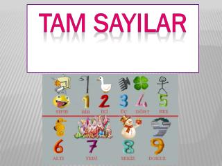 TAM SAYILAR