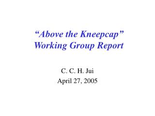 “Above the Kneepcap” Working Group Report