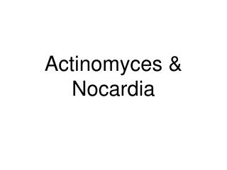 Actinomyces &amp; Nocardia