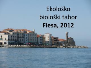 Ekološko biološki tabor Fiesa , 2012