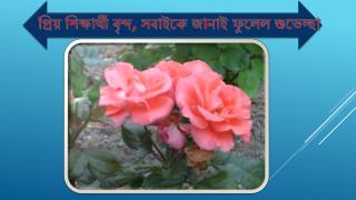 প্রিয় শিক্ষার্থী বৃন্দ, সবাইকে জানাই ফুলেল শুভেচ্ছা