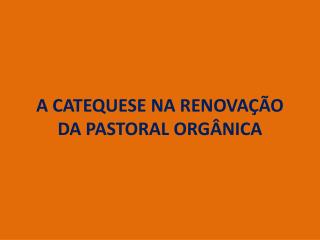 A CATEQUESE NA RENOVAÇÃO DA PASTORAL ORGÂNICA