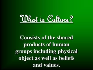 What is Culture?