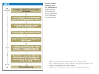 Bartram, Claus R.; Schrauder , André; Köhler, Rolf; Schrappe, Martin