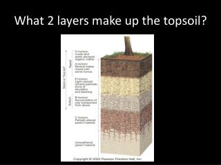 What 2 layers make up the topsoil?