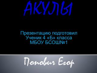 АКУЛЫ Презентацию подготовил Ученик 4 «Б» класса МБОУ БСОШ№1 Попович Егор