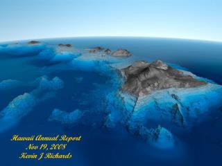Hawaii Annual Report Nov 19, 2008 Kevin J Richards